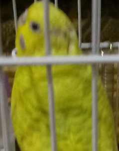 A Photo Of Cutie