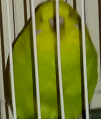 3rd Photo Of Cutie