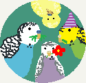 Dailybudgies Logo